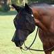 FLY MASK WITH EARS AND NOSE COVER